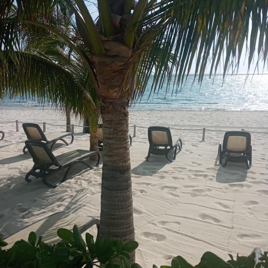 カンクンSwim The Caribbean & Work With A Viewアパートメント エクステリア 写真